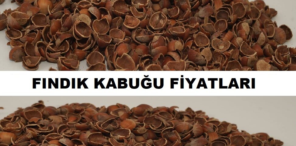 1 Ton Fındık Kabuğu Fiyatları Ağustos 2023 YENİ HASAT KABUK!