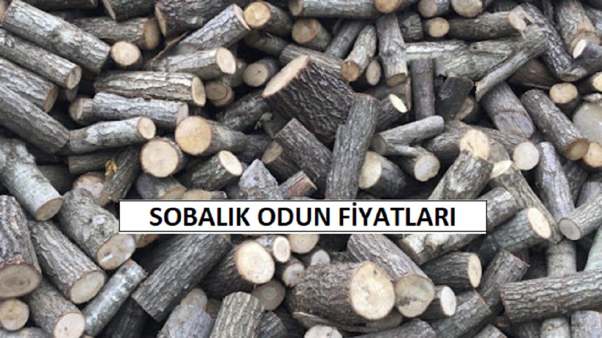 Sobalık Odun Fiyatları 2023 Mayıs Ayı ZAMLI Liste (Meşe Çam Türkiye Geneli)