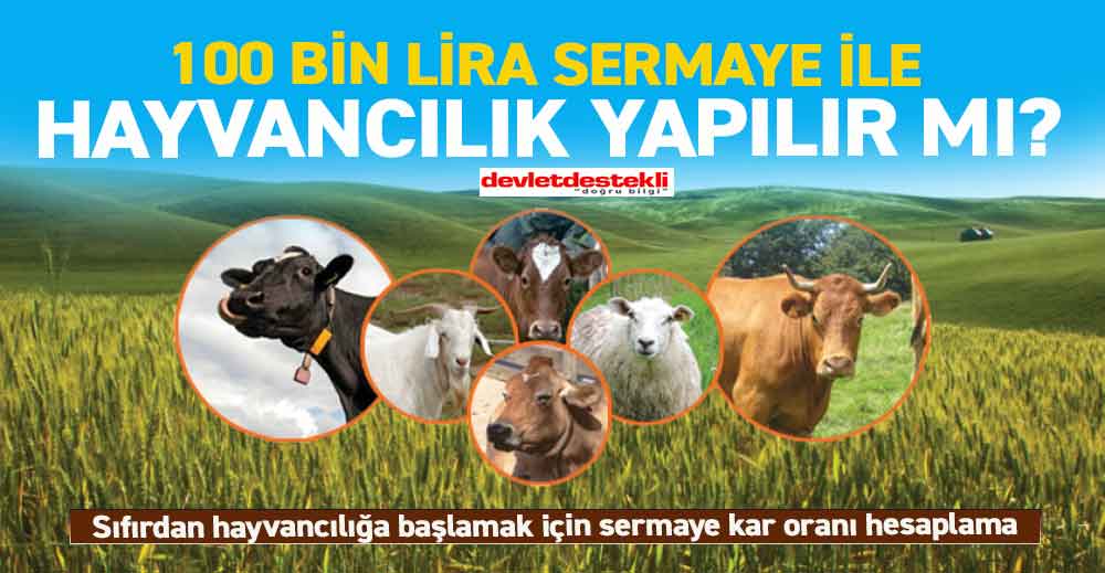 Hayvancılık Yapmak İstiyorum Ama Param Yok 2023 Hibe Müjdesi! (Küçükbaş-Büyükbaş)