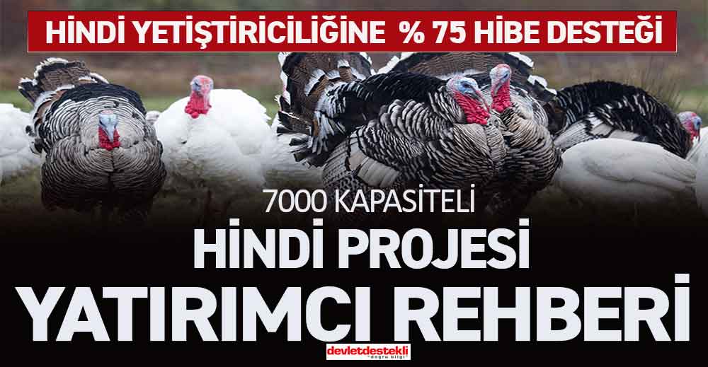 7000 Kapasiteli Hindi Kümesi Projesi Hibe Destekli 2023