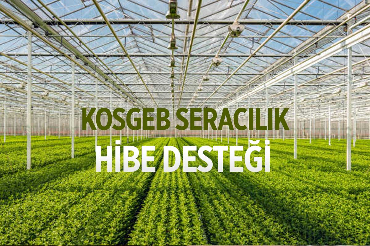 KOSGEB Seracılık Desteği 2023 (HİBE ve KREDİ) BAŞVUR