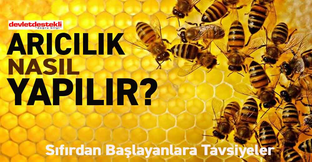 Arıcılık Nasıl Yapılır? Sıfırdan Yeni Başlayanlara Tavsiyeler 2023