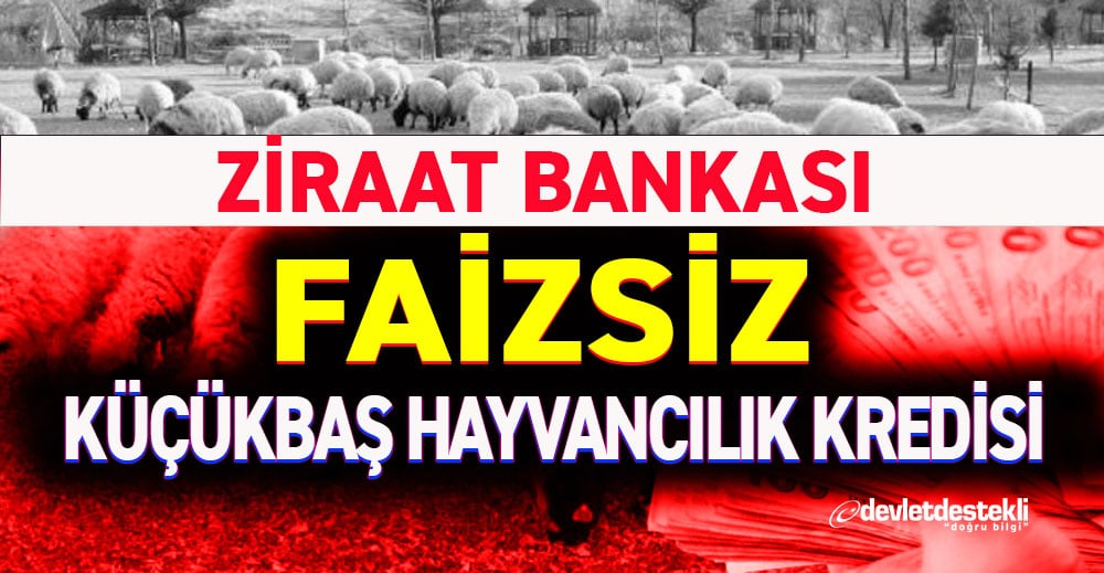 Ziraat Bankası Küçükbaş Hayvan Kredisi 2023 Şartları (FAİZSİZ DESTEK)