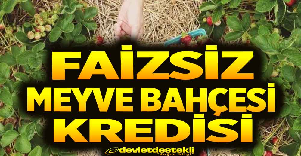 Ziraat Bankası Meyve Bahçesi Kredisi ve Şartları 2023