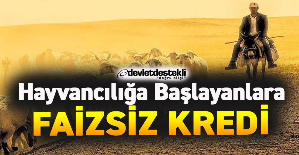 Ziraat Bankası 2023 Hayvancılık Kredisi EYLÜL-EKİM GÜNCEL
