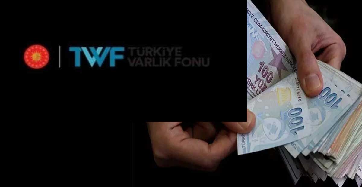 Varlık Şirketlerinden Kurtulmanın Yolları (Tek Çözüm)