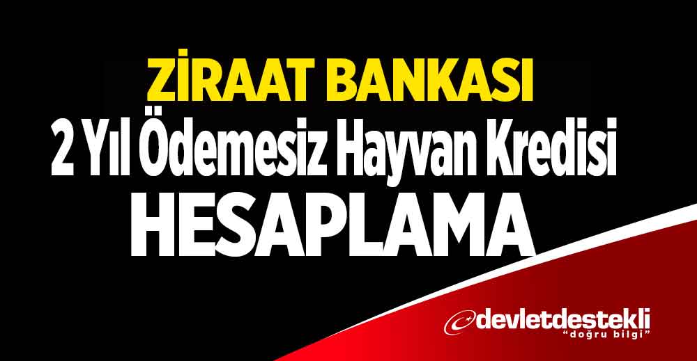 Ziraat Bankası 2 Yıl Anapara Ödemesiz Hayvan Kredisi Hesaplama 2023