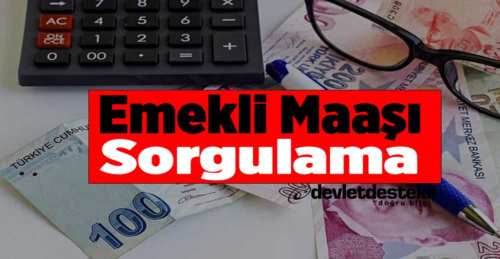 Emekli Maaşımın Yattığını Nasıl Öğrenebilirim? 2023 Mesajla Bildirme