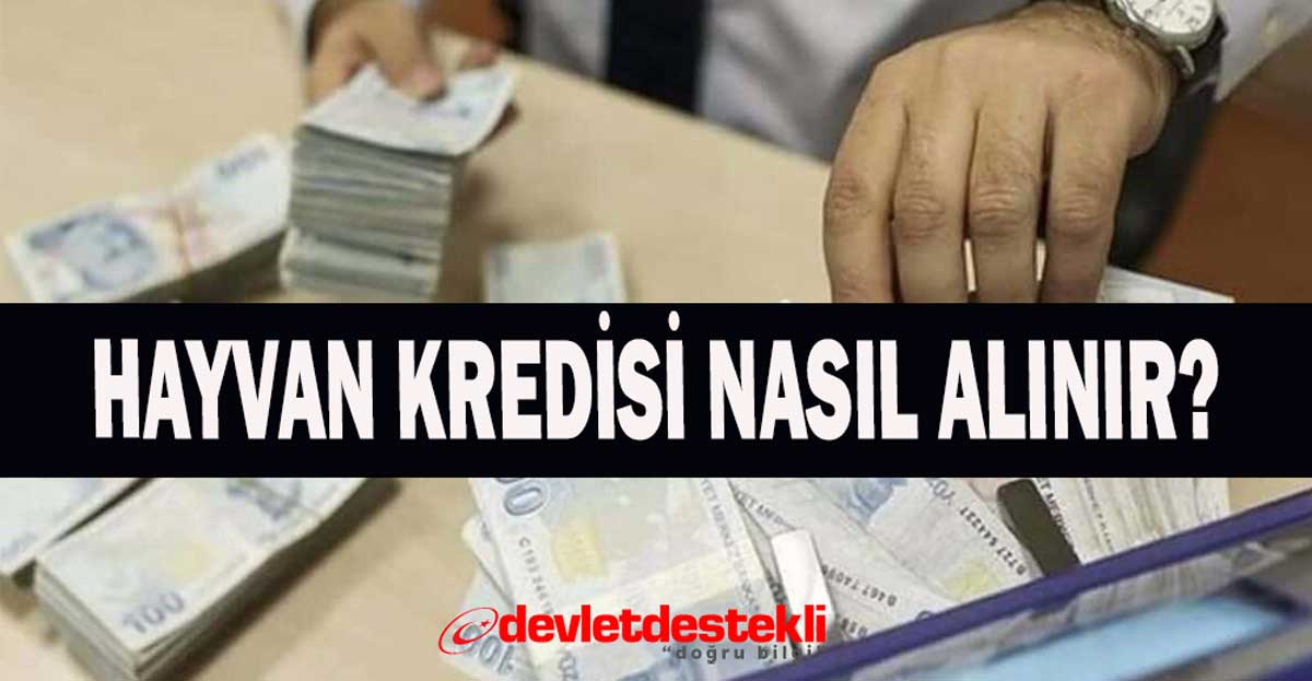 Hayvan Kredisi Nasıl Alınır? 2023 Yılı Güncel Faiz Oranları
