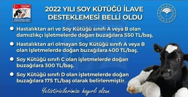 Buzağı Destekleme Ödeme Tarihleri 2022/1 Ne Zaman Yatacak?