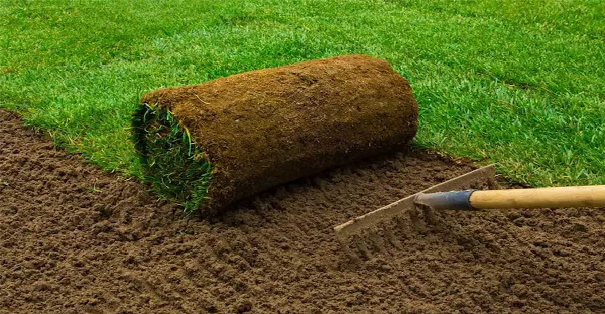 Hazır Çim Fiyatları 2023 (Rulo Hibrit Suni Çim M2 Fiyat Listesi)