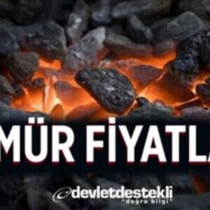 1 Ton Torba Kömür Fiyatı 2024 (TÜM İTHAL VE SİBİRYA CİNSLERİ)