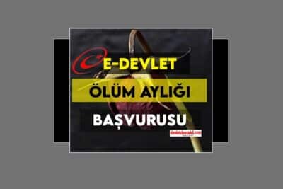 e-Devlet Ölüm Aylığı Başvurusu Nasıl Yapılır? 2023
