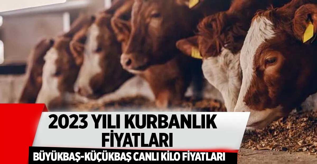 Hayvan Pazarı Kurbanlık Fiyatları 2023 (Canlı Hayvan Kilo Fiyatı)