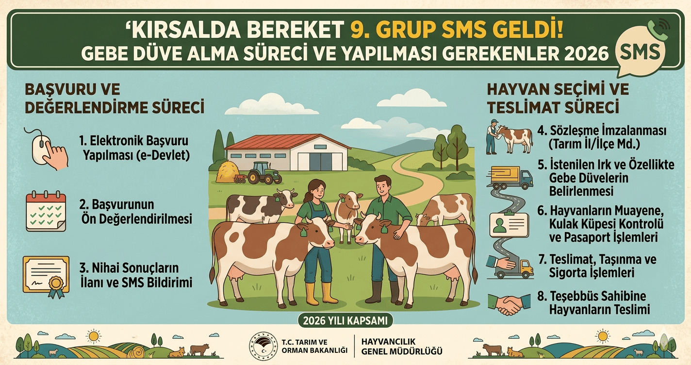 Kırsalda Bereket 9. Grup SMS Geldi! Gebe Düve Alma Süreci ve Yapılması Gerekenler 2026