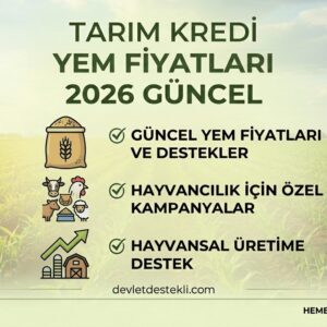 Tarım Kredi Yem Fiyatları 2026 Güncel Liste (50 KG ÇUVAL)